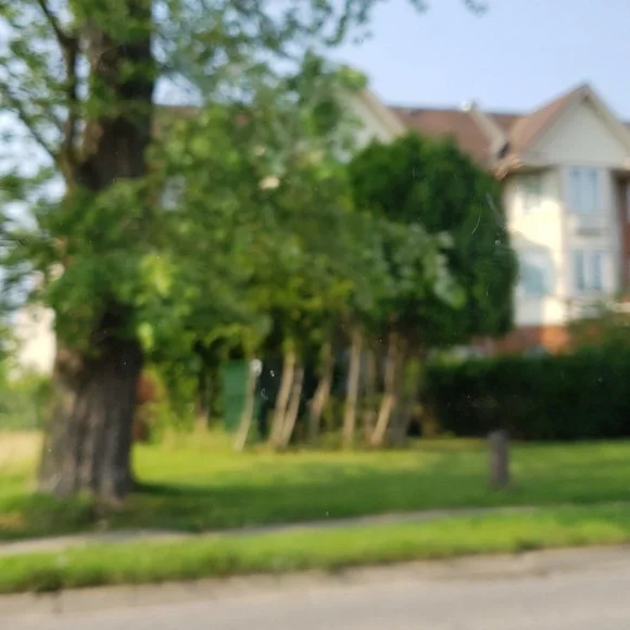 Da tree 🌳 📜 😊 😃 😺 😄 ☺ 😹 😊 😃 😺 😄 ☺ 😹 😊 😃 😺 😄 ☺ 😹 😹 - Picture 6 of 8